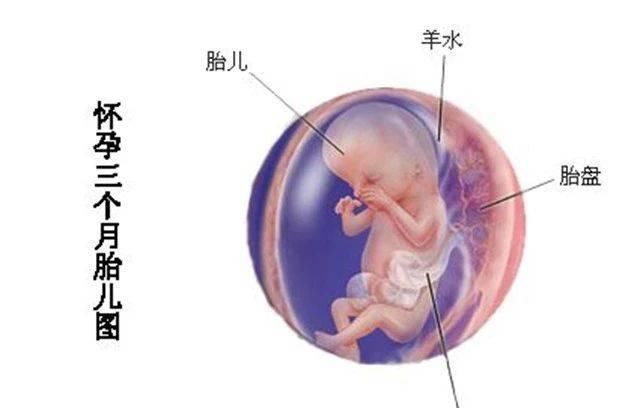 怀孕3个月护理重点：建档产检！