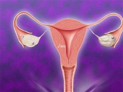 <b>盘点孕晚期孕妇不运动是否会出现胎儿臀位，与这三点也有关</b>
