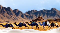 骆驼奶适合哪些人群饮用？驮中驼品牌今日为大家分享！