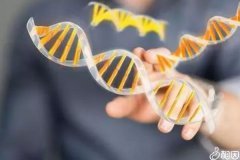 无创DNA和亲子鉴定不是一码事，所谓高准确率并不可信
