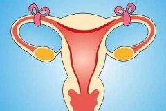 做了输卵管复通后多久才能怀孕呢？